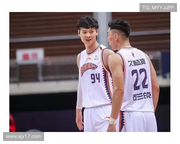 上海篮球队球员个人能力分析与表现评估的综合研究