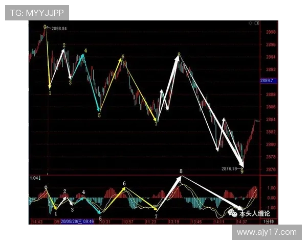 南京飞盘队反击战术解析与实战应用探讨